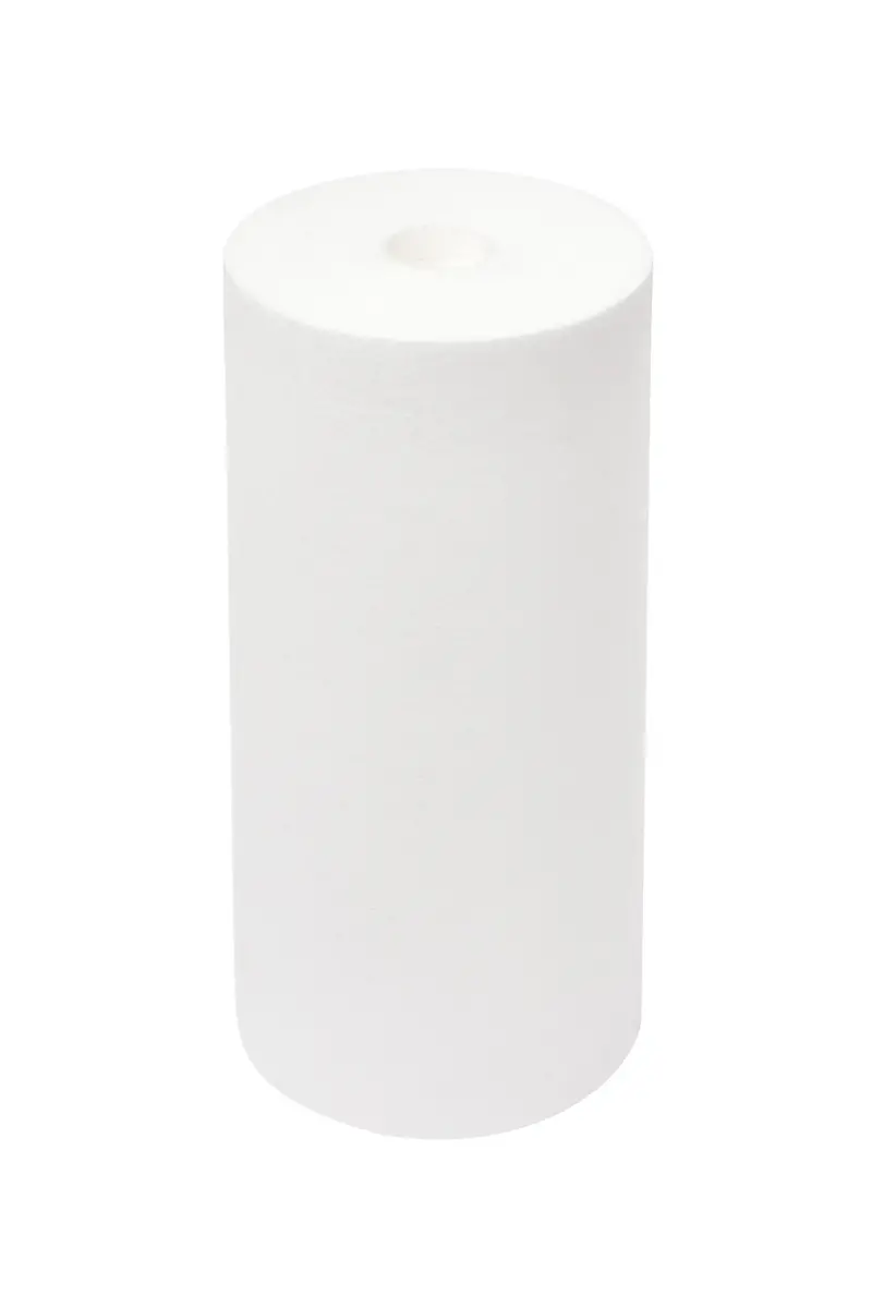 10" X 4.5" 5-Micron Pleated Sediment Filter Cartridge 1