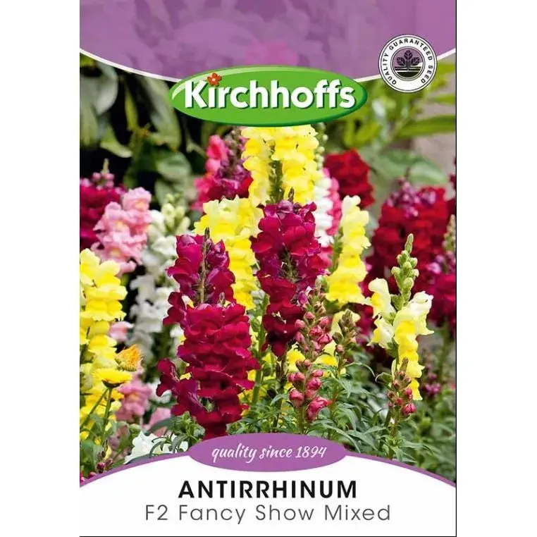 Antirrhinum (Snapdragon) Seeds – Kirchhoff’S Colorful Mix 1