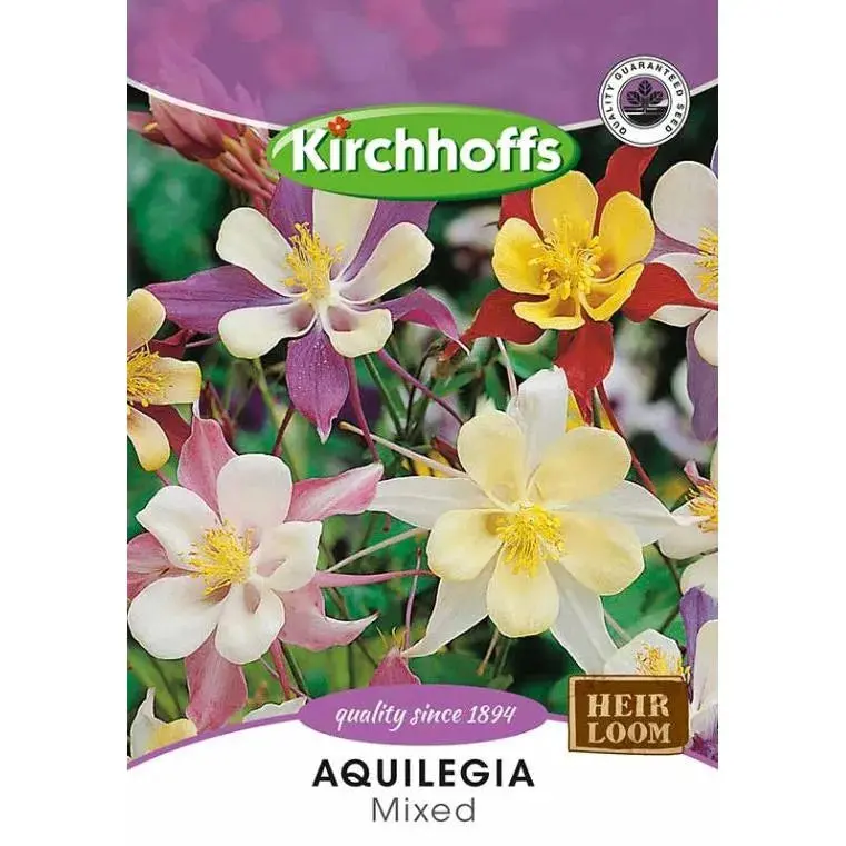 Aquilegia Flower Seeds – Kirchhoff’S Premium Mix 1