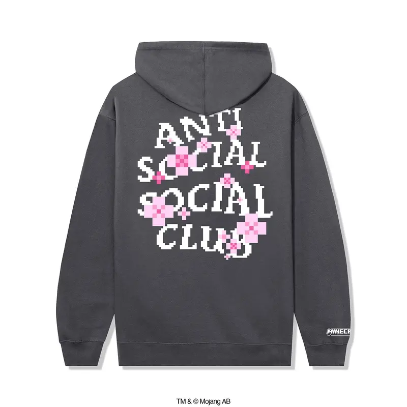 Assc X Minecraft Cherry Blossom Graphic Hoodie 1