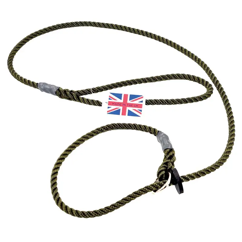 Bisley Deluxe 6Mm Reflective Dog Lead – Durable And Safe Walking Leash 1