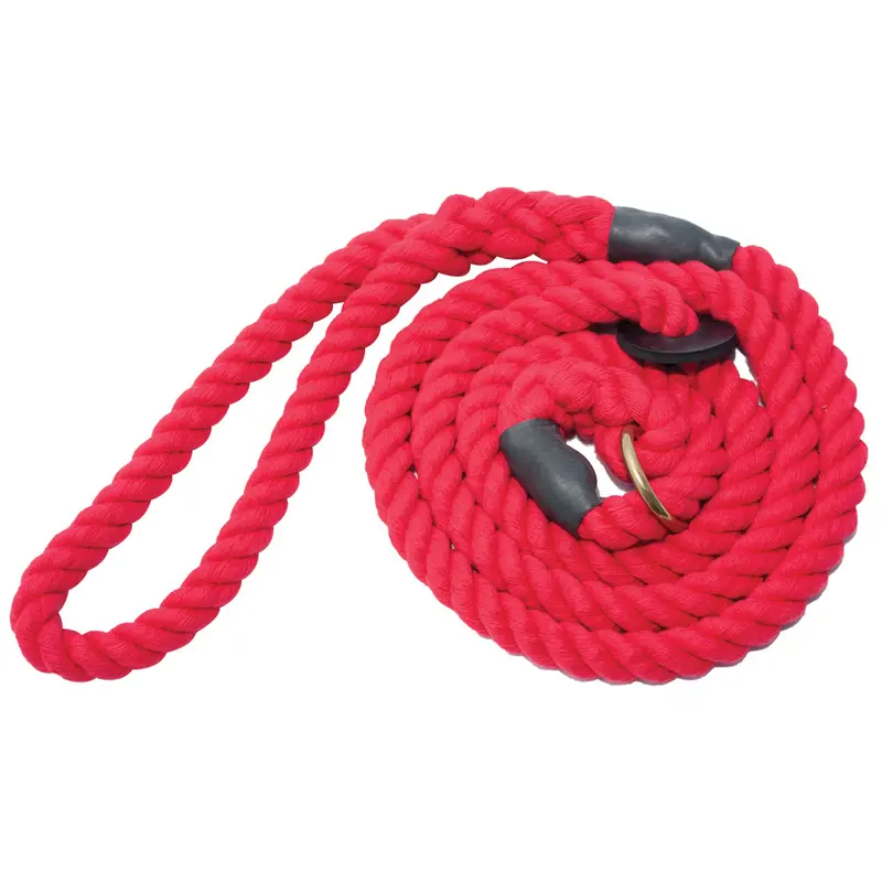Bisley Elite Slip Lead For Controlled Field Training 3