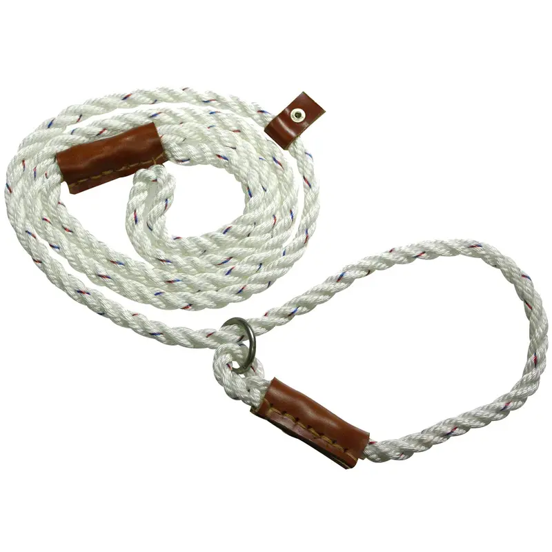 Bisley Field Trial Dog Lead 1