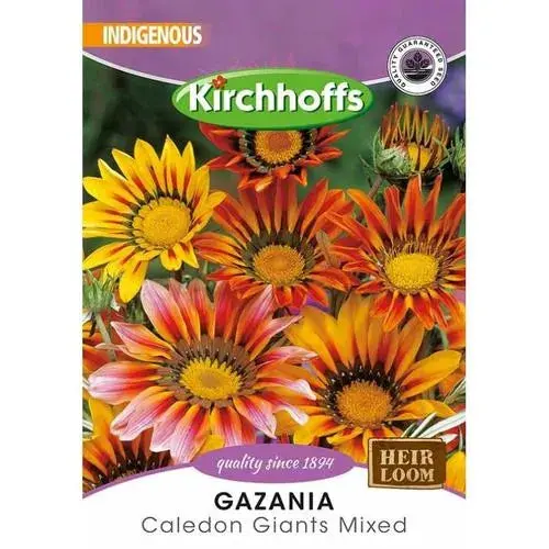 Kirchhoffs Gazania Flower Seeds – Sun-Loving Ground Cover 1