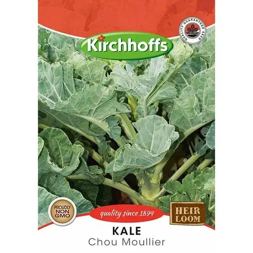 Kirchhoffs Kale Vegetable Seeds 1