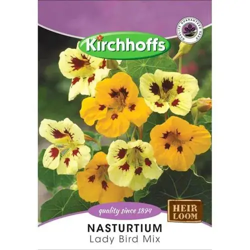 Kirchhoffs Nasturtium Flower Seeds 1