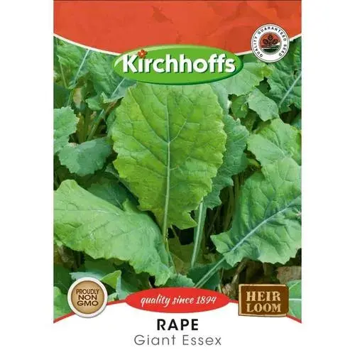 Kirchhoffs Rapeseed – Premium Vegetable Seed Variety 1