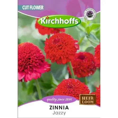 Kirchhoffs Zinnia Flower Seeds 1
