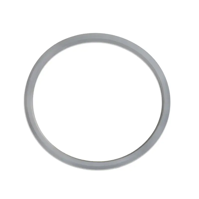 Large-Diameter O-Ring Gasket For Ss-Series Stainless Steel Filters 1