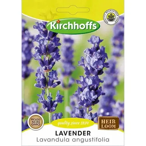 Lavender Herb Seeds – Kirchhoff’S High-Germination Variety 1