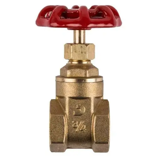 Torrenti Heavy-Duty Brass Gate Valve 1