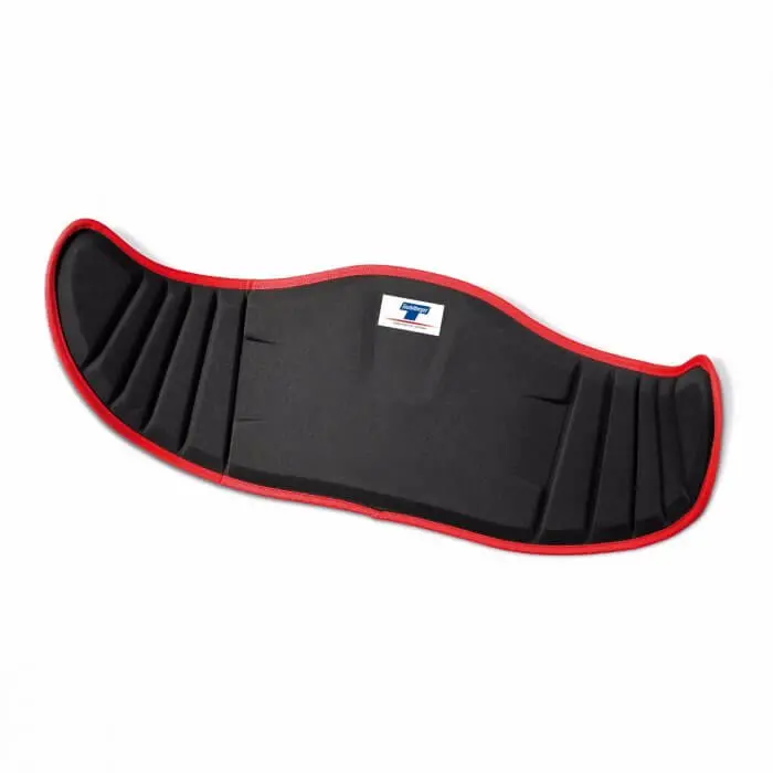 Treemotion Comfort Back Support Pad 1
